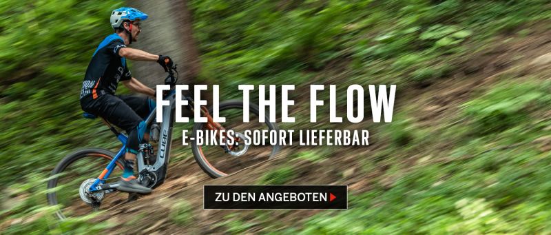 E-Bikes