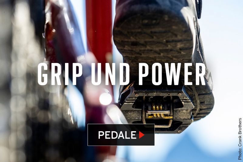 Pedale
